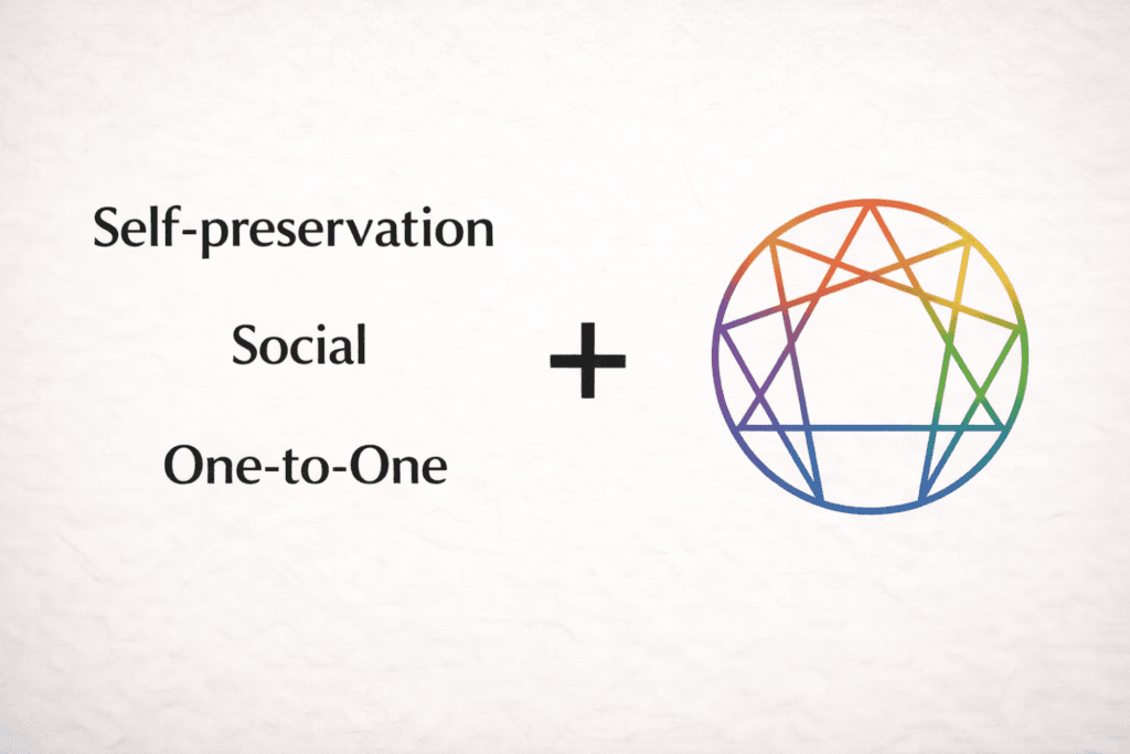 Subtypes of enneagram